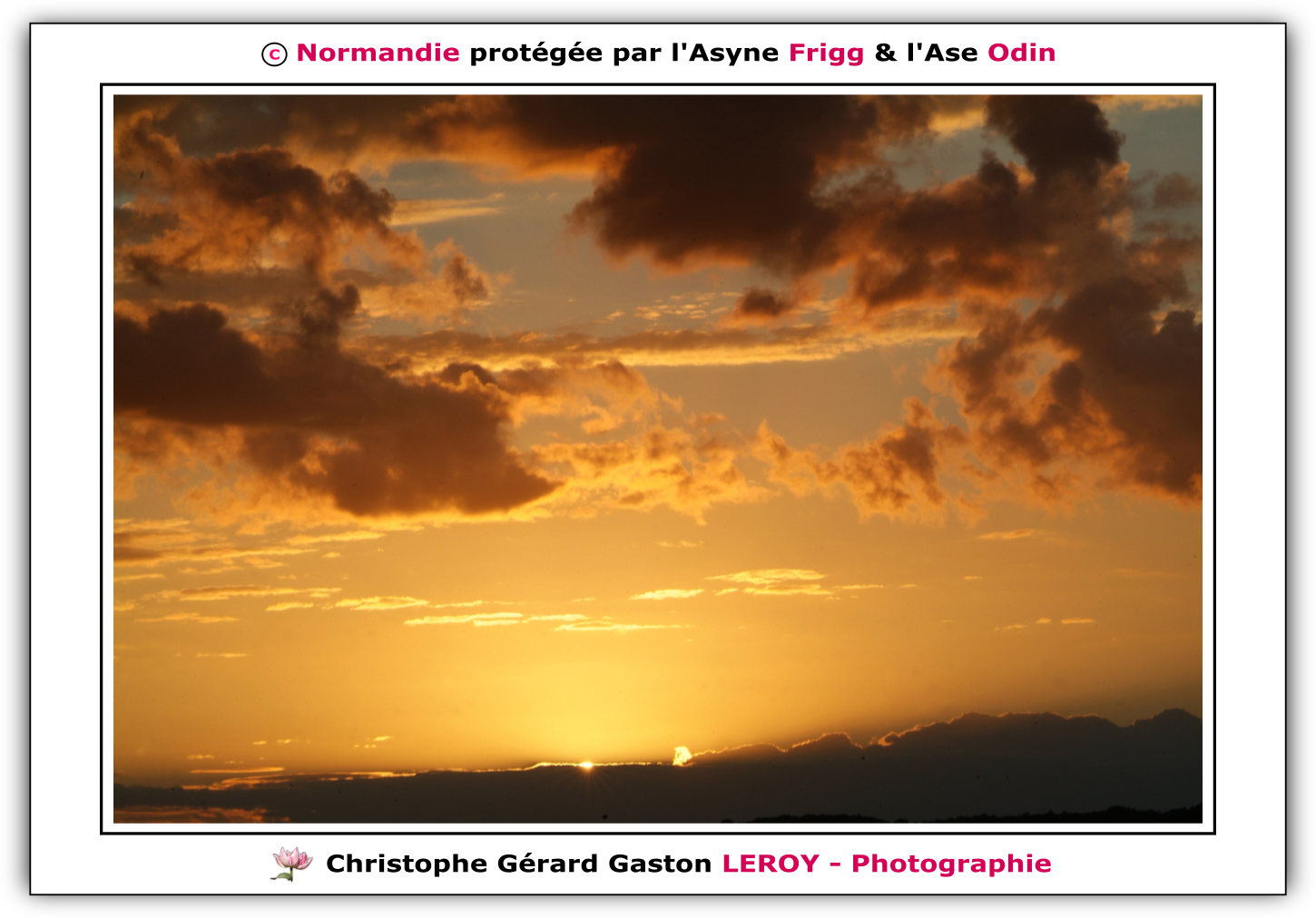 Carl Zeiss 100mm f/2 Makro-Planar T* - Fujifilm Finepix S3 Pro : L'Aigle - Pays D'Ouche - Orne - Normandie - Francce Carl Zeiss 100mm f/2 Makro-Planar T* - Fujifilm Finepix S3 Pro : L'Aigle - Pays D'Ouche - Orne - Normandie - Francce