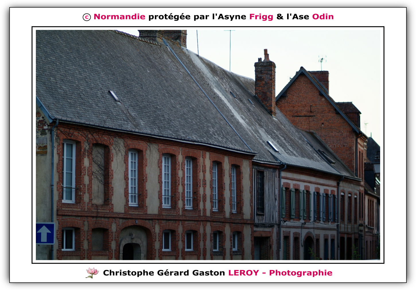 Carl Zeiss 100mm f/2 Makro-Planar T* - Fujifilm Finepix S3 Pro : L'Aigle - Pays D'Ouche - Orne - Normandie - Francce Carl Zeiss 100mm f/2 Makro-Planar T* - Fujifilm Finepix S3 Pro : L'Aigle - Pays D'Ouche - Orne - Normandie - Francce