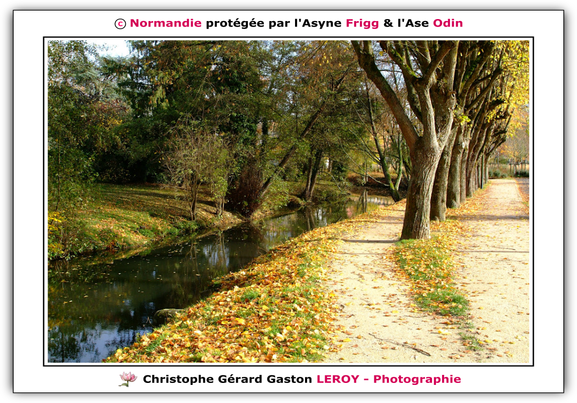 Rivière La Risle à L'Aigle 61300, Orne, Normandie, France Rivière La Risle à L'Aigle 61300, Orne, Normandie, France