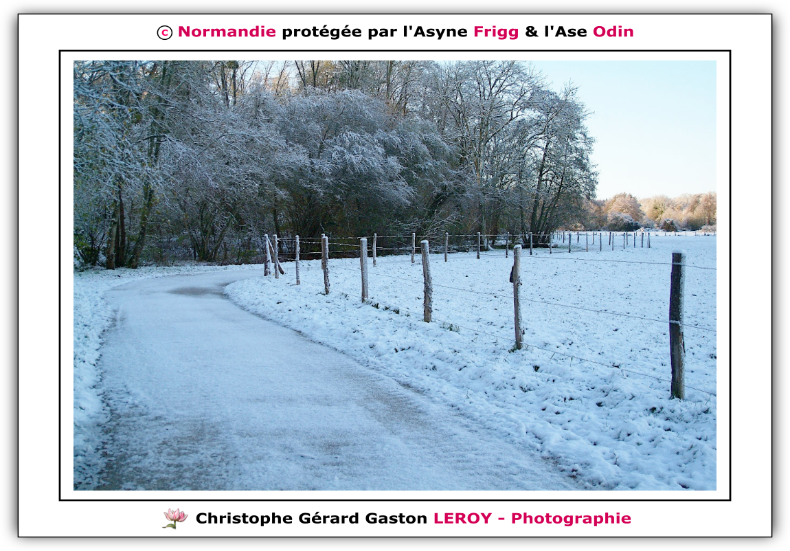 Neige sur les voies vertes de L'Aigle - Suite 5 Neige sur les voies vertes de L'Aigle - Suite 5