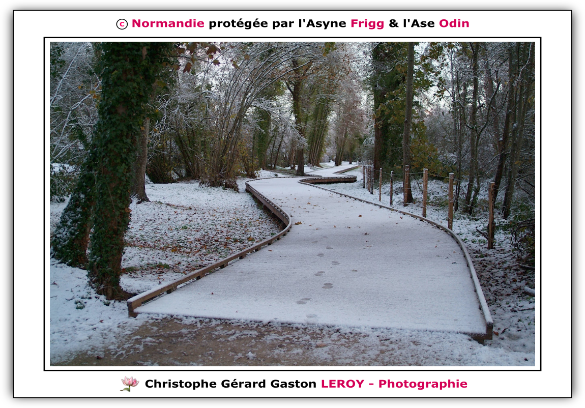 Neige sur les voies vertes de L'Aigle - Suite 3 Neige sur les voies vertes de L'Aigle - Suite 3