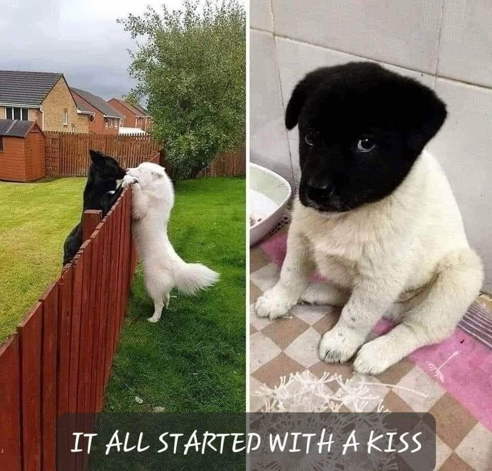 Memes and Funny Pics LXXXVIII - Page 104
