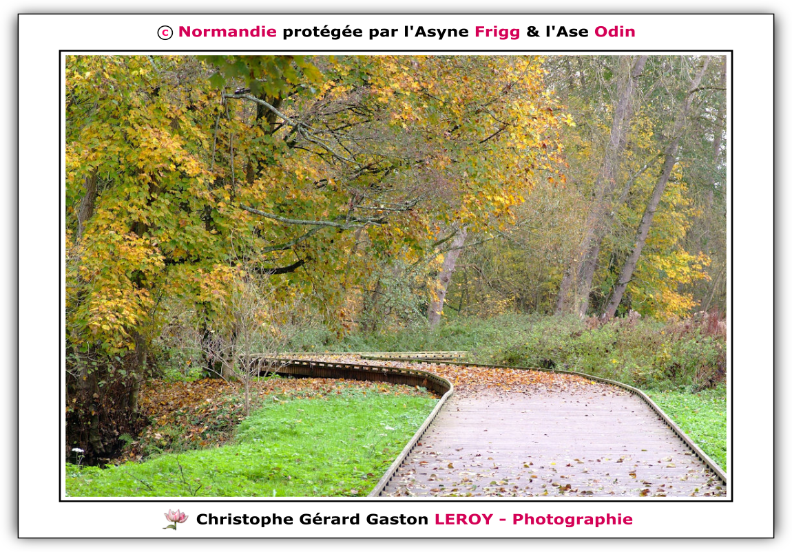 Voie verte vers les Platanes à L'Aigle 61300, Orne, Normandie, France Voie verte vers les Platanes à L'Aigle 61300, Orne, Normandie, France