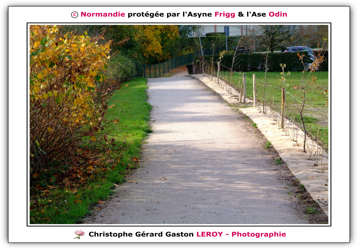 Rivière La Risle à L'Aigle 61300, Orne, Normandie, France Rivière La Risle à L'Aigle 61300, Orne, Normandie, France